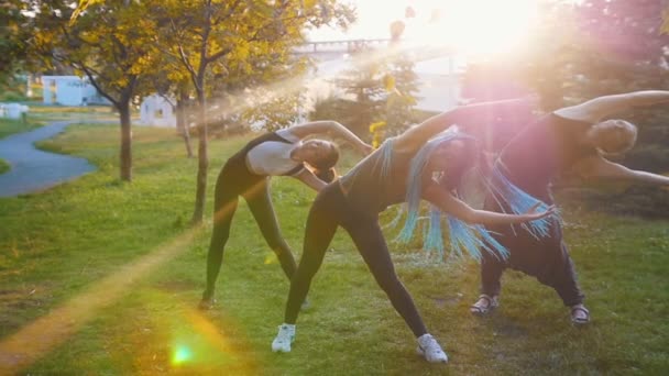 Dos mujeres jóvenes haciendo ejercicios de yoga con instructor en el parque en los rayos del sol - Una mujer tiene rastas azules largas — Vídeo de stock