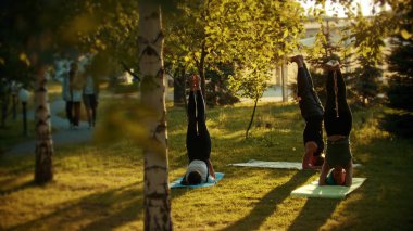İki genç kadın ve bir adam parlak yeşil ağaçlar ve geçit yakınındaki parkta yoga yapıyor - headstands doing
