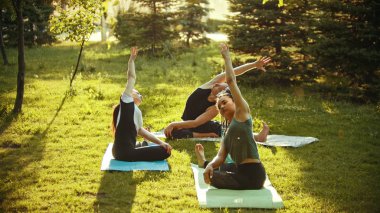 İki genç çekici kadın ve bir adam parkta parlak yeşil ağaçlarla çevrili yoga egzersizleri yapıyor