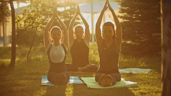 Duas mulheres jovens e um homem sentado em uma posição de ioga meditativa no parque no fundo das árvores ao pôr do sol — Fotografia de Stock