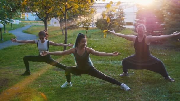 Δύο νεαρές γυναίκες που κάνουν γιόγκα ασάνες με τον προπονητή στο πάρκο στο φως του ήλιου-μια γυναίκα έχει μακριά μπλε ράμες — Αρχείο Βίντεο