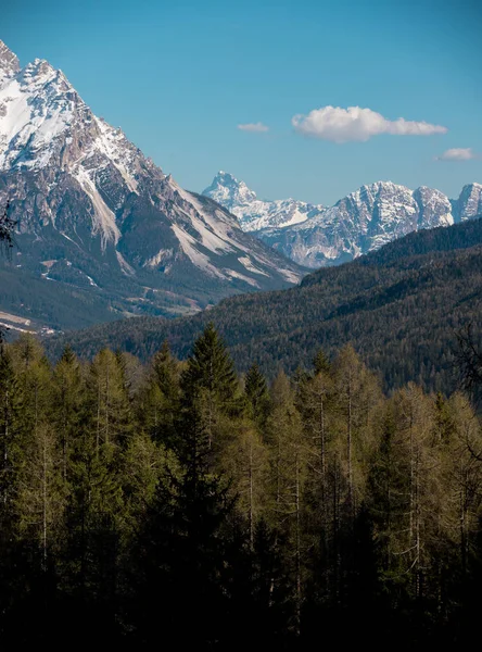 La naturaleza de los Dolomitas. Un hermoso paisaje de las montañas y el bosque — Foto de Stock