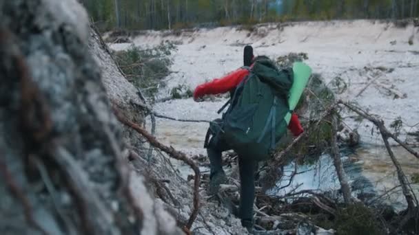 Молодий чоловік і жінка перетинають скелясту річку на колоді з рюкзаками і гітарою на фоні лісу — стокове відео