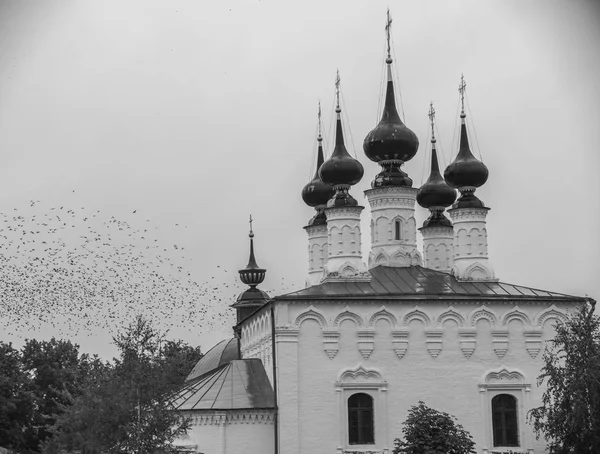 Gran iglesia cristiana en el pueblo y aves voladoras - Suzdal, Rusia —  Fotos de Stock