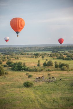 Yeşil alan üzerinde uçan renkli hava balonları ve ısı teknolojisi kullanarak hayvanlar