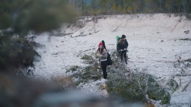 Duas jovens mulheres de pé em uma estrada rochosa com as mochilas e guitarra no fundo da floresta e da montanha — Vídeo de Stock