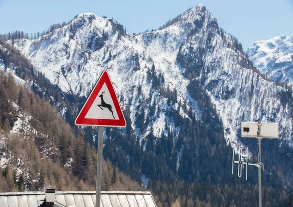 Dolomitler doğa. Dağlar ve tepeler bir manzara-bir işaret geyik geçişi — Stok fotoğraf