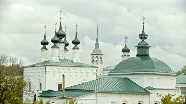 Белая церковь с зелеными верхушками в деревне — стоковое видео