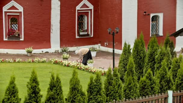 Une femme âgée qui travaille avec des fleurs sur le terrain du temple — Video