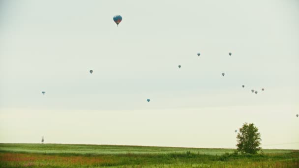 Große verschiedene Luftballons fliegen am Himmel über dem grünen Feld — Stockvideo