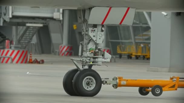 Een man werknemer lopen met laadstandaard op luchthaven veld — Stockvideo