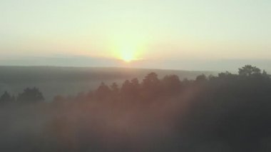 Ormanda sisli bir gün doğumu