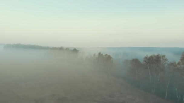 Uma vista sobre uma paisagem nebulosa do rio e da floresta nas montanhas — Vídeo de Stock