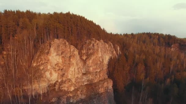 Вид на восходящую гору, покрытую деревьями — стоковое видео
