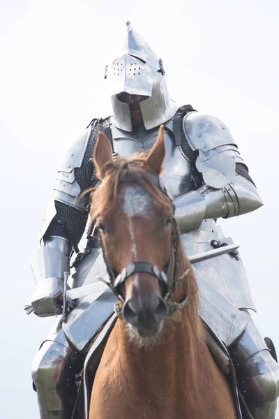 Un caballero montando un caballo marrón sosteniendo una espada —  Fotos de Stock