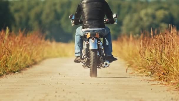 Мотоциклист едет на мотоцикле по ржаному полю — стоковое видео