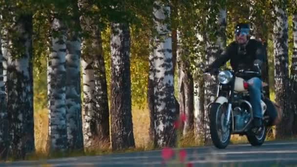 Um homem brutal motociclista dirigindo na floresta de bétula — Vídeo de Stock