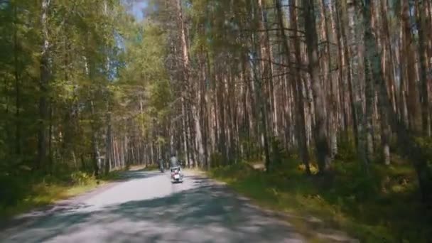Twee motorrijders die met hun motorfietsen in het naald bos rijden — Stockvideo