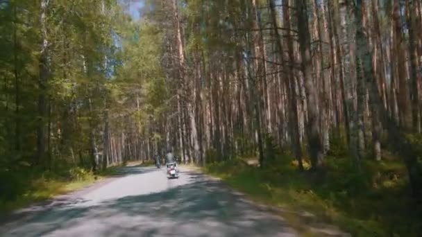 Deux motocyclistes en moto dans la forêt de conifères 
