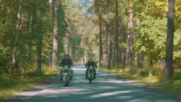 Twee brutale motorrijders rijden hun motorfietsen in het naaldbos — Stockvideo