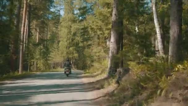 Two motorcyclists riding their motorbikes in the coniferous forest - bright day — Stock Video