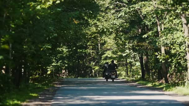 Двоє дорослих чоловіків мотоциклістів їдуть на мотоциклах у зеленому лісі — стокове відео