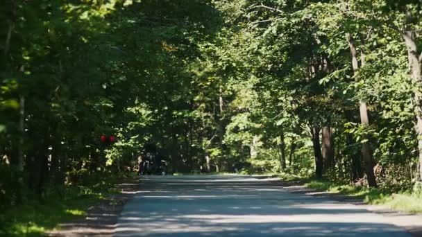 Två vuxna män motorcyklister ridning motorcyklar i den gröna skogen-Drone flyger runt och skjuta dem — Stockvideo