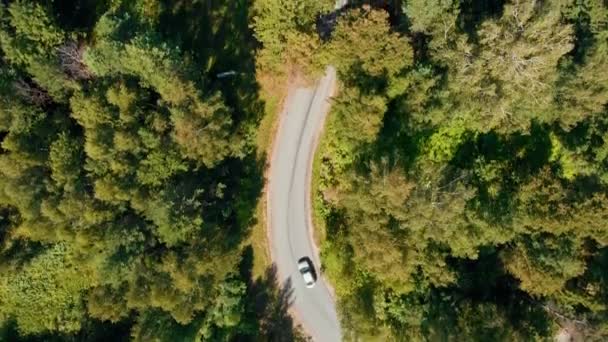 Een auto en motorrijders rijden in het bos — Stockvideo