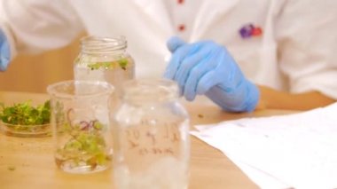 Biyoteknoloji ve Genetik Mühendisliği - şişeden bitki örneği almak - kağıt üzerinde notlar yapma