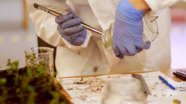 Biotechnology and Genetic Engineering - taking a plant sample from the bottle — Stock Video