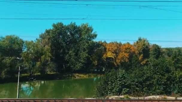 Un paysage de forêt - prise de vue depuis le train — Video