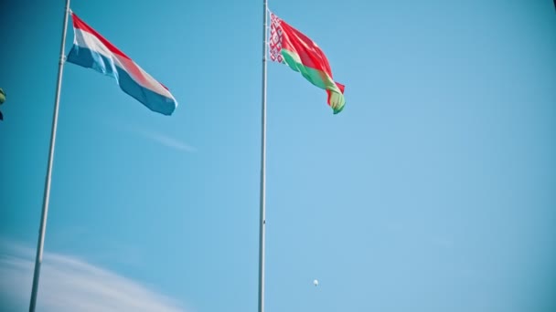 Drapeaux des pays du monde soufflant dans le vent ciel bleu clair — Video