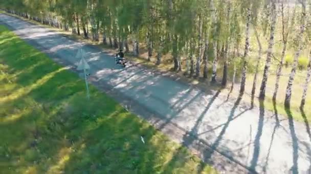 En man motorcyklist som kör i björkskogen — Stockvideo