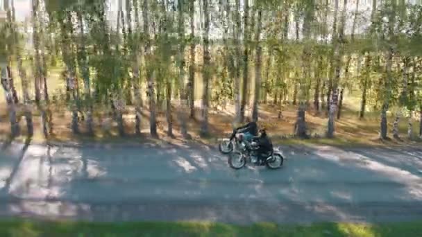 Två män motorcyklister kör i björkskogen — Stockvideo