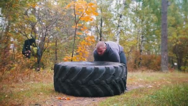 Тяжелый татуированный бодибилдер в перчатках толкает колесо грузовика на землю - тренировка в осеннем лесу — стоковое видео