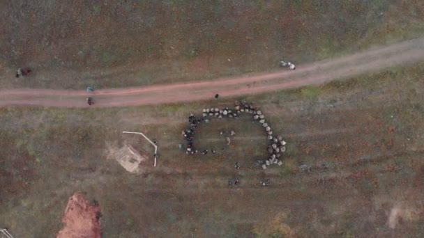 Personas paradas en un semicírculo en el campo de otoño — Vídeos de Stock