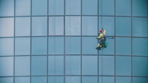 A man worker hanging on ropes by the exterior windows of a business skyscraper and cleaning them - industrial alpinism — Stock Video