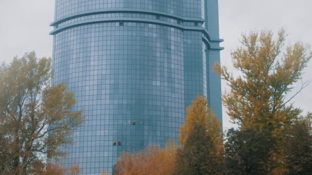 Tres hombres trabajadores colgados de las cuerdas por las ventanas exteriores de un rascacielos - alpinismo industrial - otoño — Vídeos de Stock