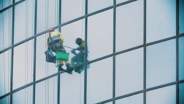En arbeider henger i tau og tørker av utvendige vinduer på en forretningsskyskraper - industriell alpinisme – stockvideo