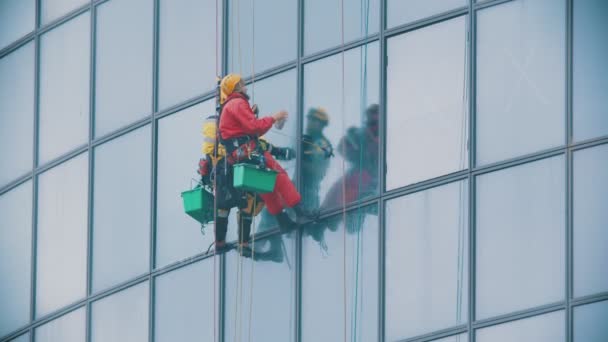 Dos hombres trabajadores colgando de las cuerdas por las ventanas exteriores de un rascacielos de negocios y limpiándolos - alpinismo industrial - tiempo de otoño y clima nublado — Vídeo de stock