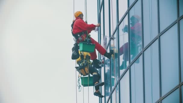 Zwei Männer Arbeiter hängen an Seilen an den Außenfenstern eines Wolkenkratzers und reinigen sie - industrieller Alpinismus - trübes kaltes Wetter — Stockvideo