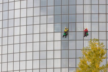 Bir gökdelenin dış camlarını temizleyen iki işçi - endüstriyel dağcılık - iplere asılı.