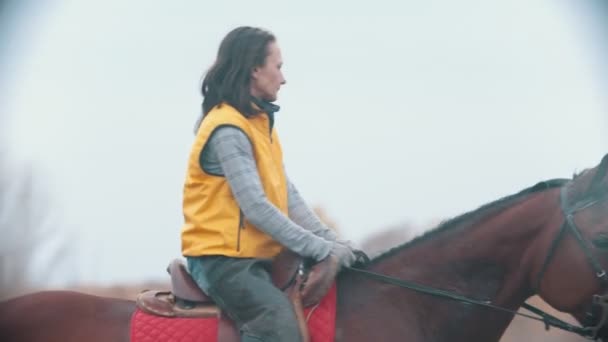 Una mujer con chaleco amarillo monta un caballo de la bahía — Vídeos de Stock