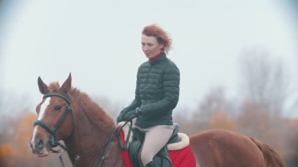 Una mujer monta un caballo de jengibre sosteniéndolo sobre las riendas — Vídeos de Stock