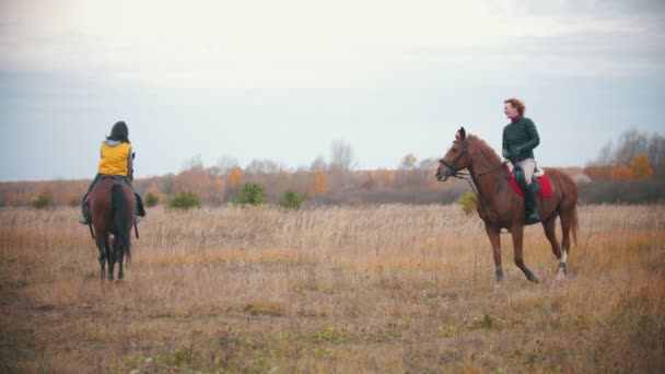 Deux femmes chevauchent des chevaux de baie en cercle les tenant sur les rênes — Video