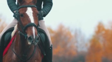 Bir kadın dört nala koşuyor.