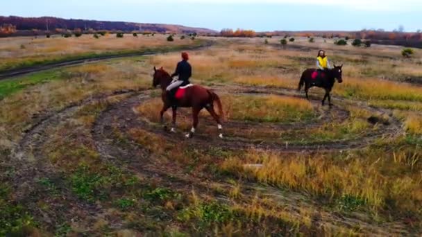 Zwei schöne Pferde mit Reitern drehen sich im Kreis auf dem Feld — Stockvideo