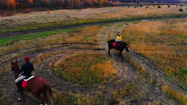 Deux chevaux de baie avec des cavaliers vont en cercle sur le terrain — Video