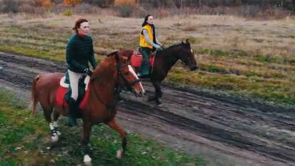 Dos caballos de jengibre con equestrians en la espalda están galopando en la carretera con charcos — Vídeos de Stock