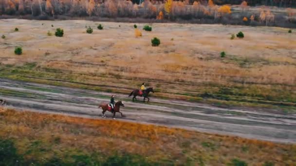 Deux chevaux de baie avec des cavaliers sur le dos galopent sur la route avec des flaques — Video